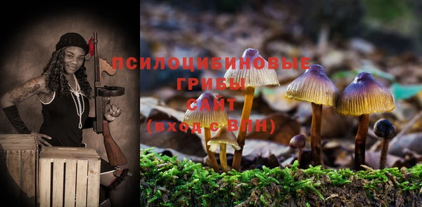 mix Вязьма