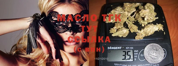 амф Вяземский